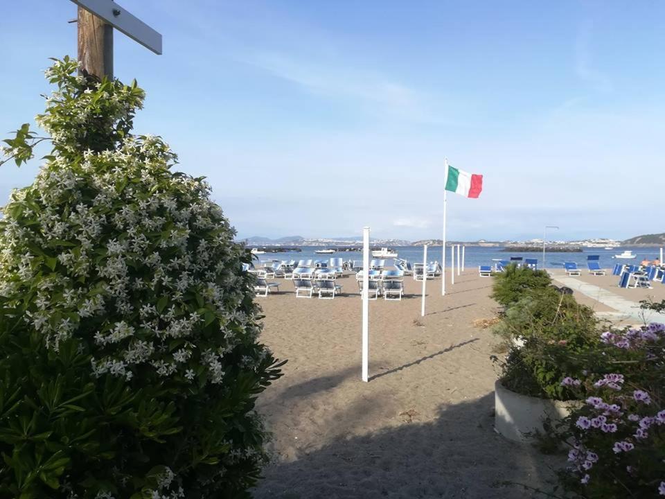 Villa Iscla Maison D'Hotes Ischia Luaran gambar